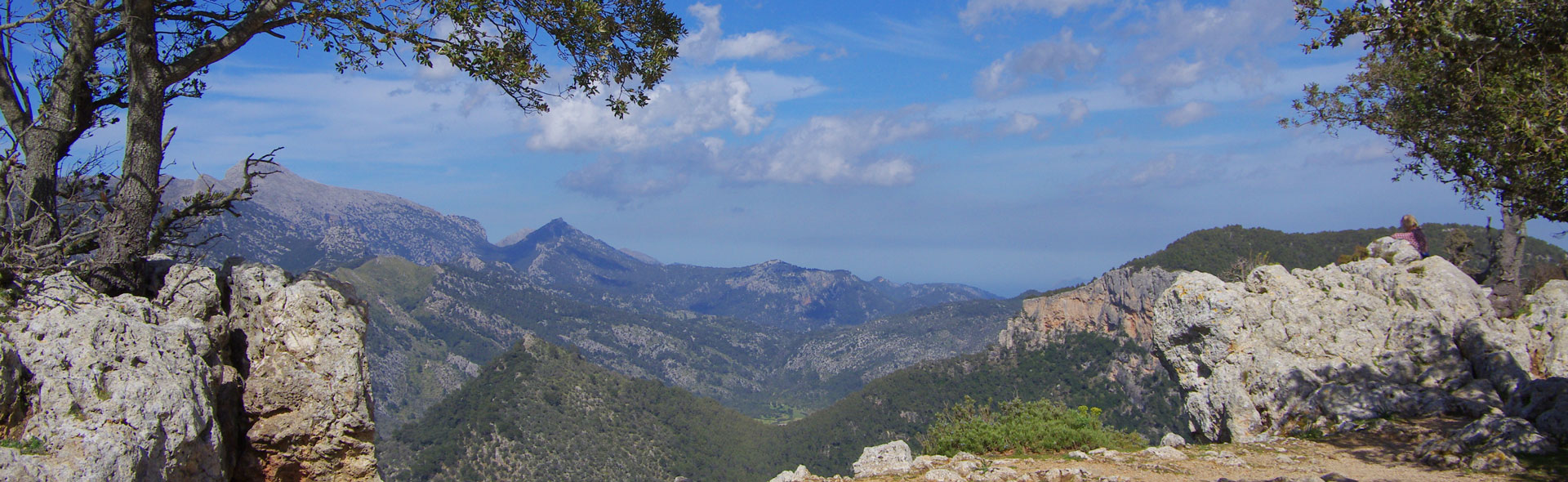 Schafe auf dem Castell d’Alaro