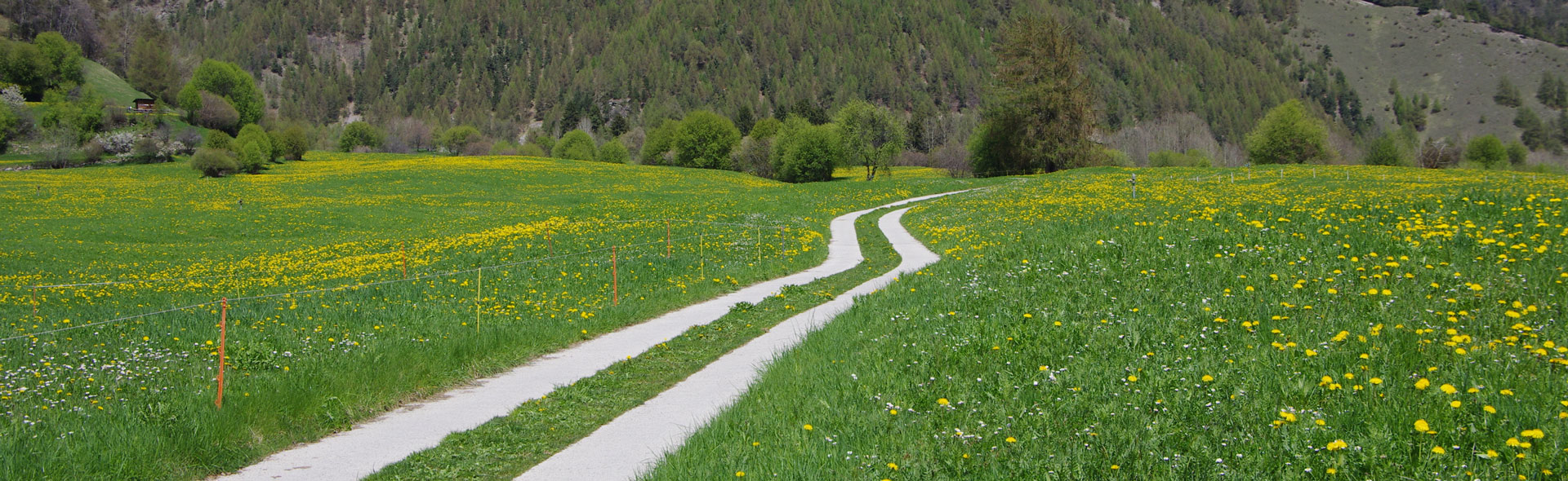 1000 Jahre Stundenweg