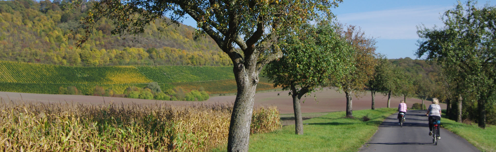 Herbstzeit in Iphofen