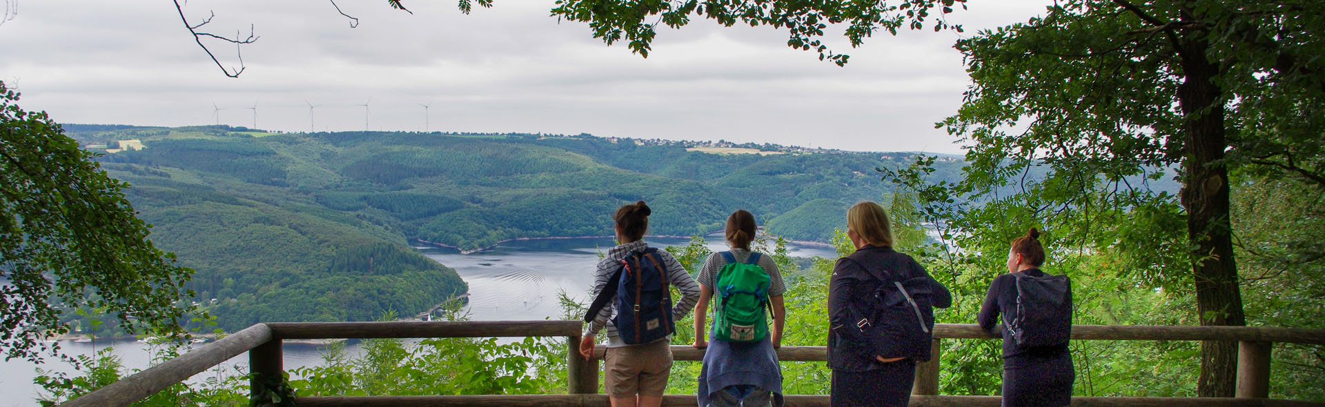 Der Wilde Weg in der Eifel