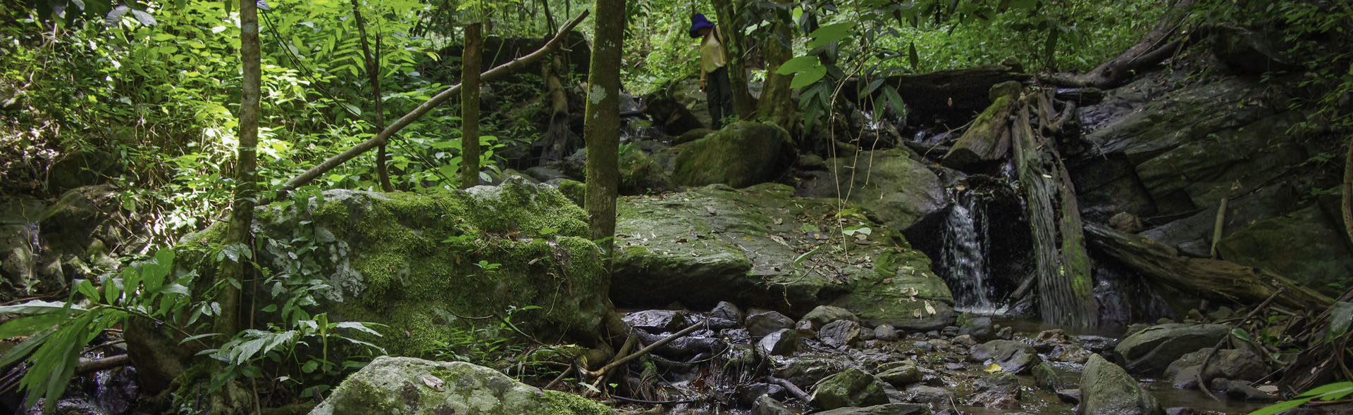 Der Mae Sakut Trail – Acht Pfoten und drei Wasserfälle