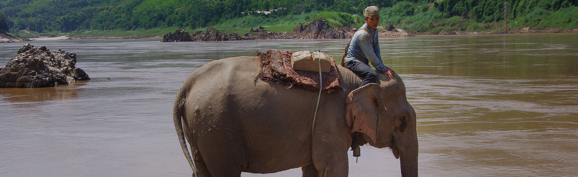 Elefantenjagd in Laos