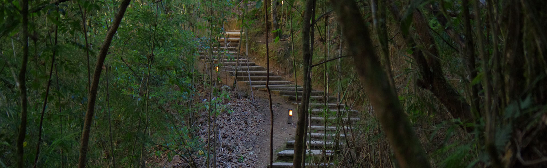 Von Cartago zum Quetzal in den Nebelwald