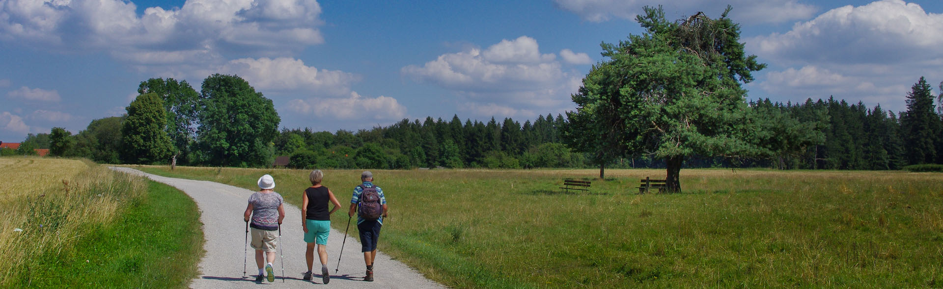 Sommer in der Hersbrucker Alb