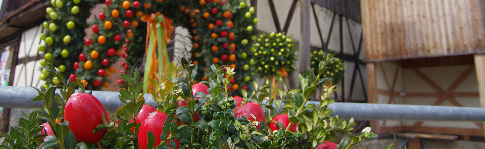 Frühlingsblumen um Breitenlesau