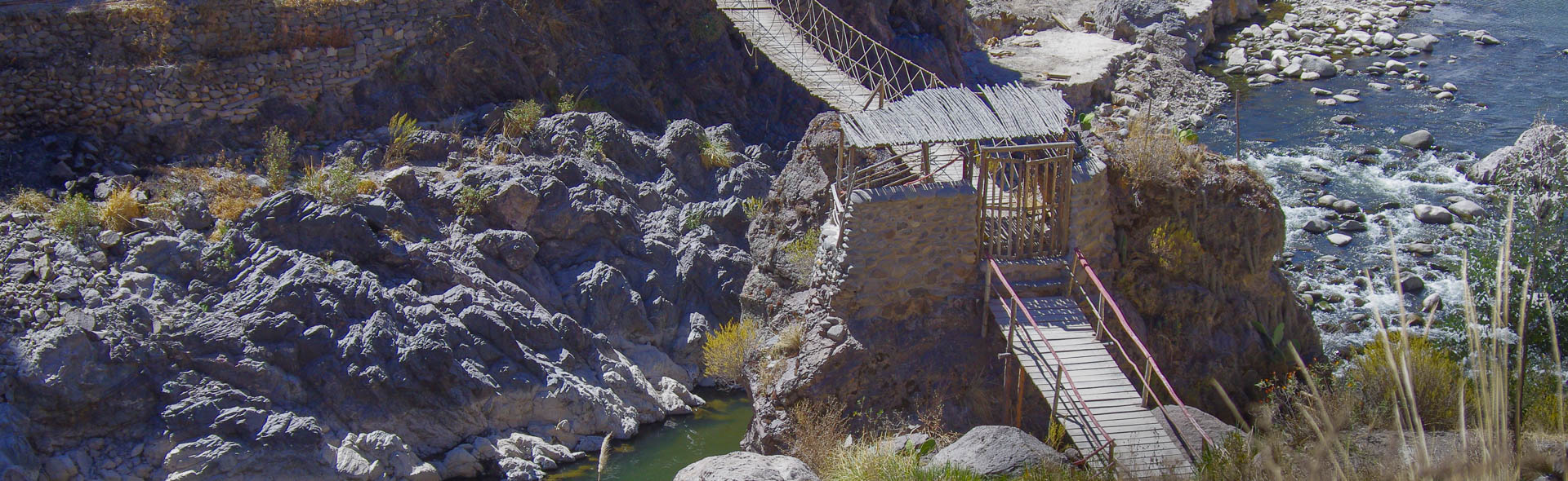 Kondor über’m Colca Canyon