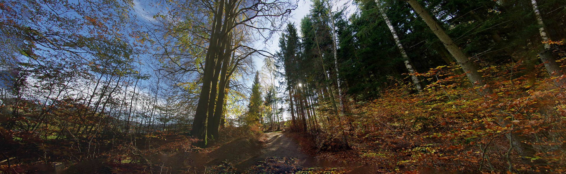 Herbstlichter im wilden Erzgebirge