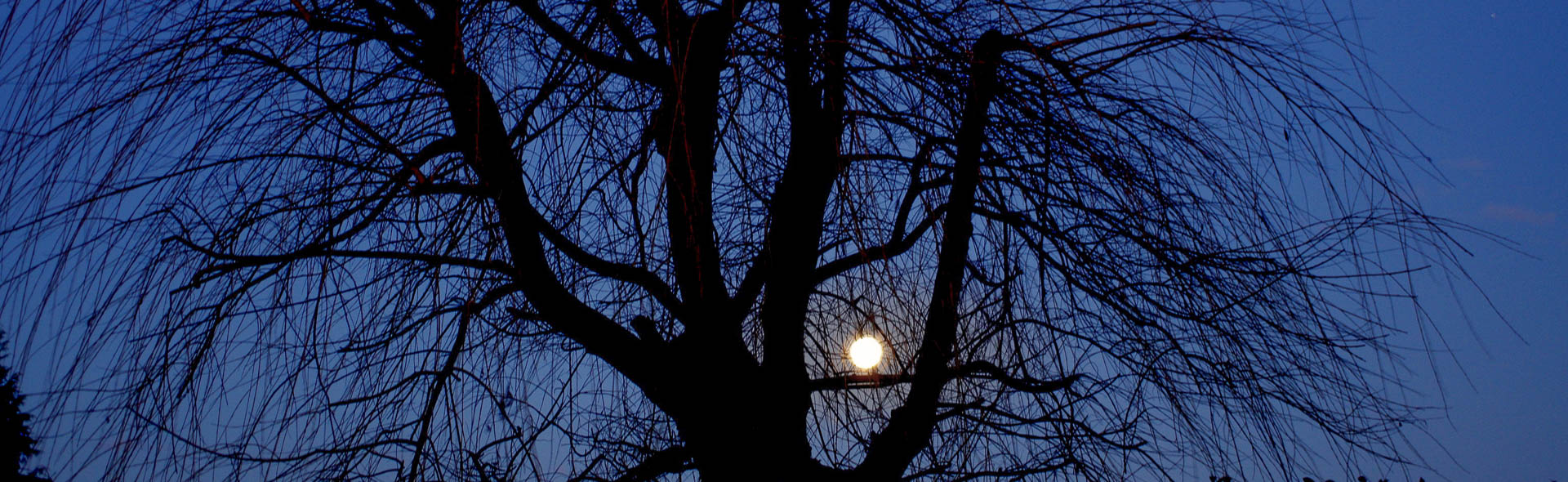 Die längste Nacht des Jahres