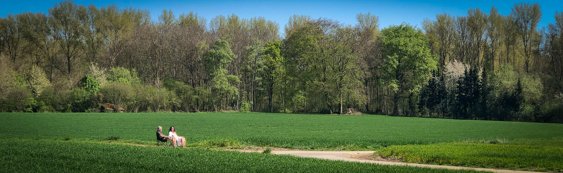 Die blühenden Obstgärten um Kloster Knechtsteden